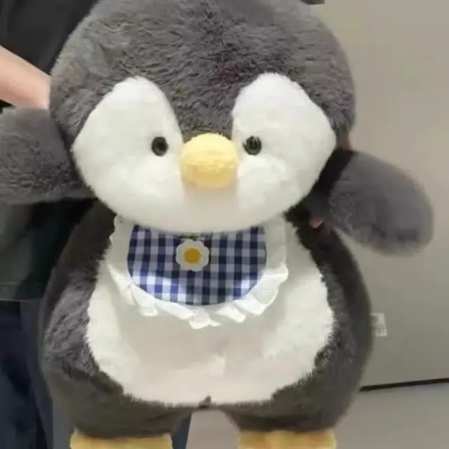 30cm50cm
