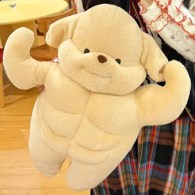 35cm50cm65cm