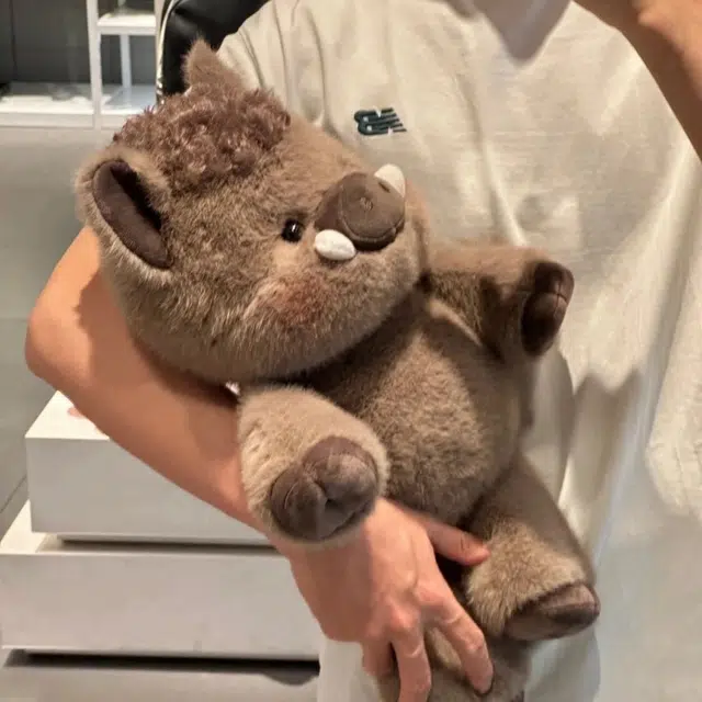 45cm