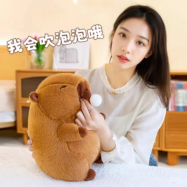 25cm35cm