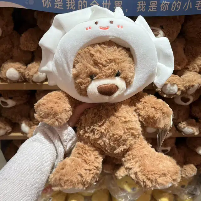 25cm35cm