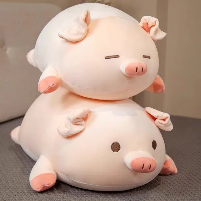 40cm50cm60cm80cm