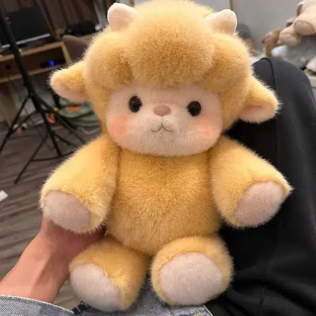 45cm60cm