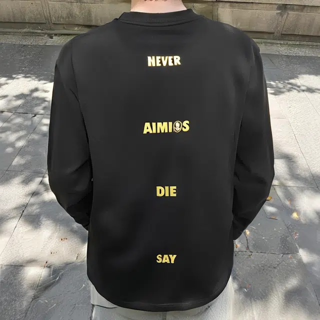 AIMISS logo