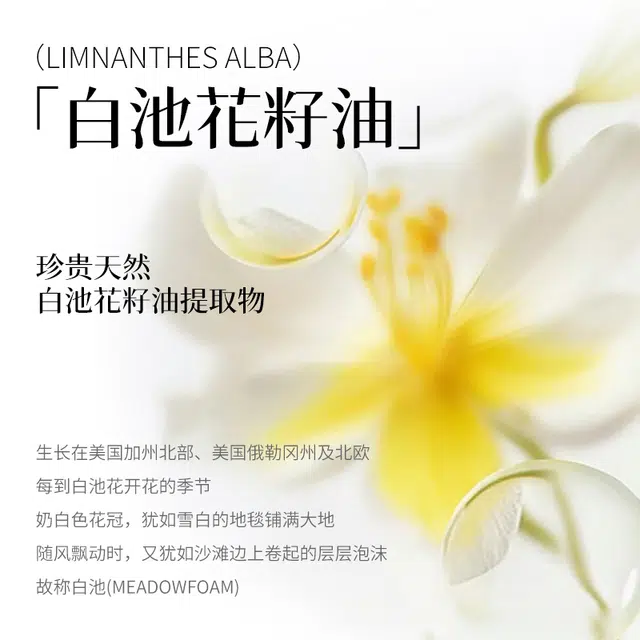 贝诗佳 素颜隔离乳收缩毛孔舒缓隔离 保湿