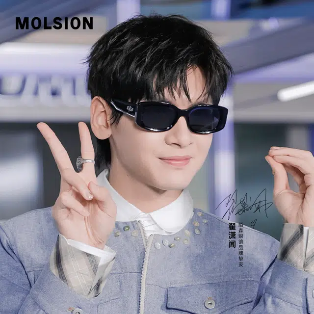 MOLSION