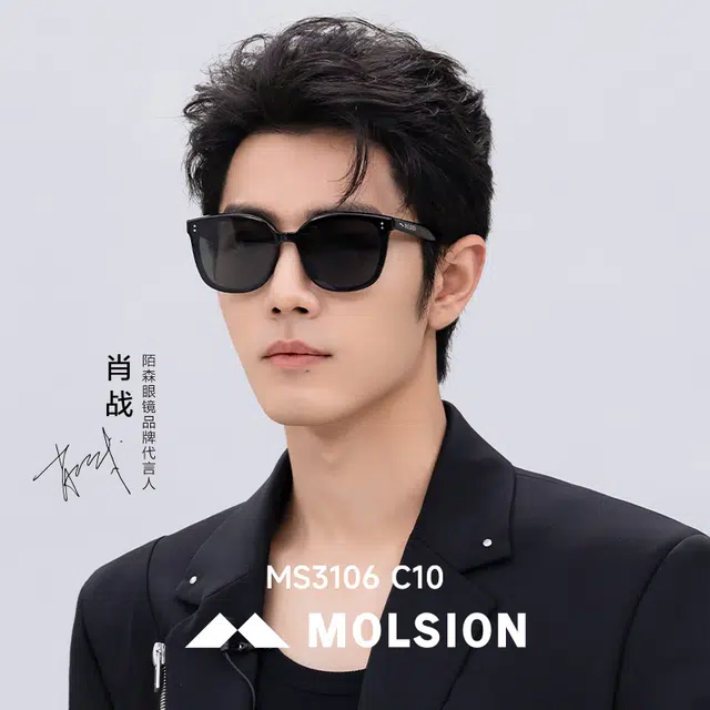 MOLSION