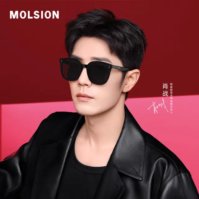 MOLSION