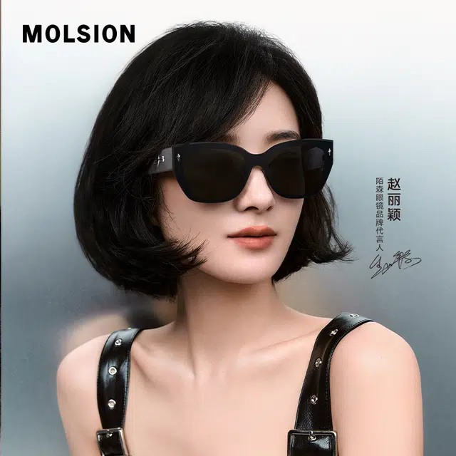 MOLSION