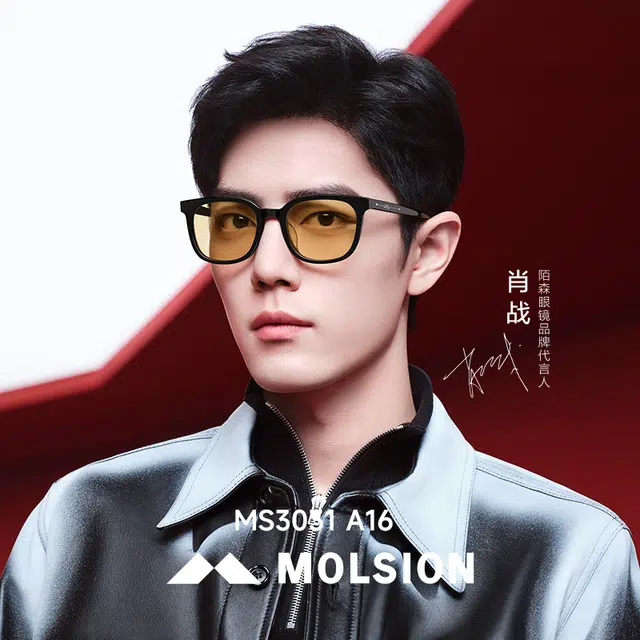 MOLSION