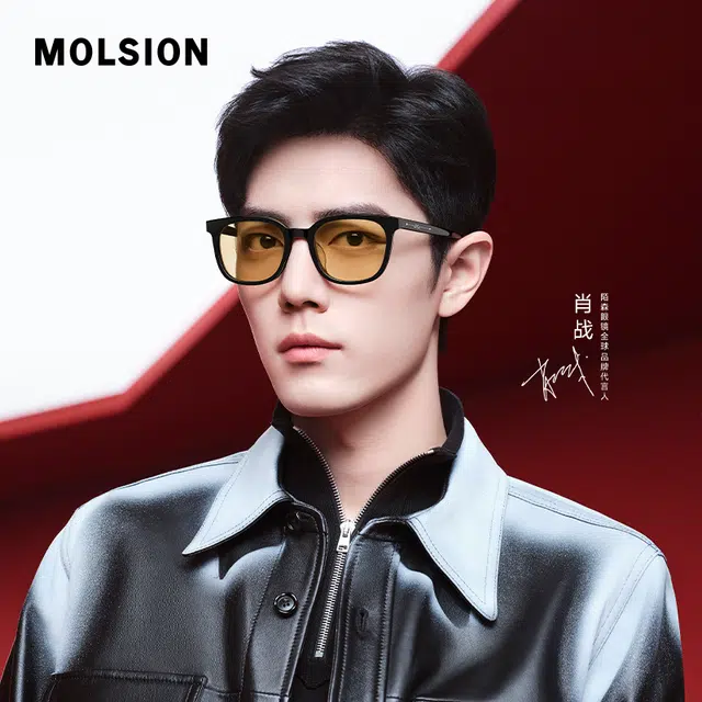 MOLSION