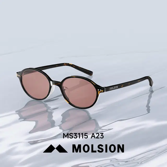 MOLSION