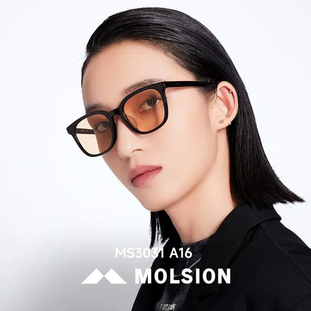 MOLSION