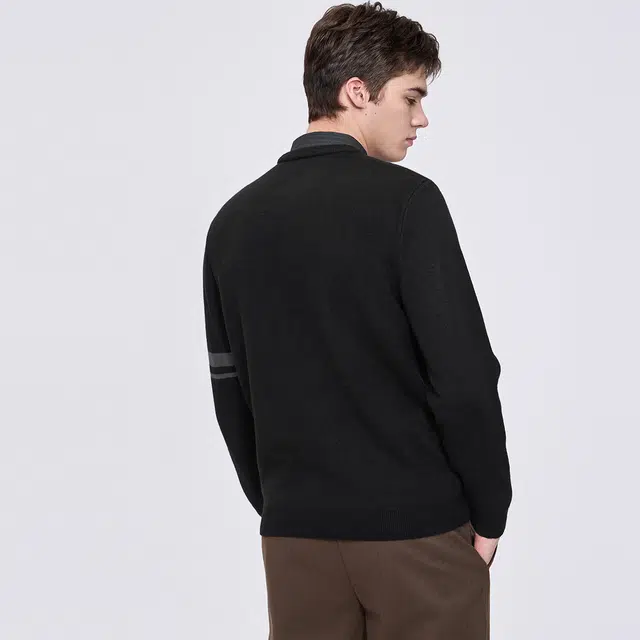 与狼共舞 经典百搭款日系潮流袖臂印花设计时尚通勤抗菌保暖羊毛衫休闲假两件翻领毛衣 男款