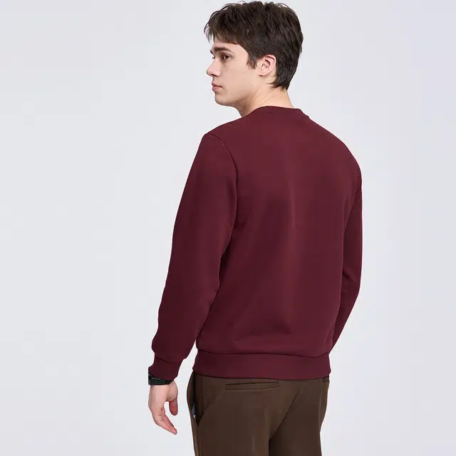 与狼共舞 时尚高街风潮流刺绣抗静电弹力舒适亲肤日常出行通勤百搭套头圆领卫衣 男款