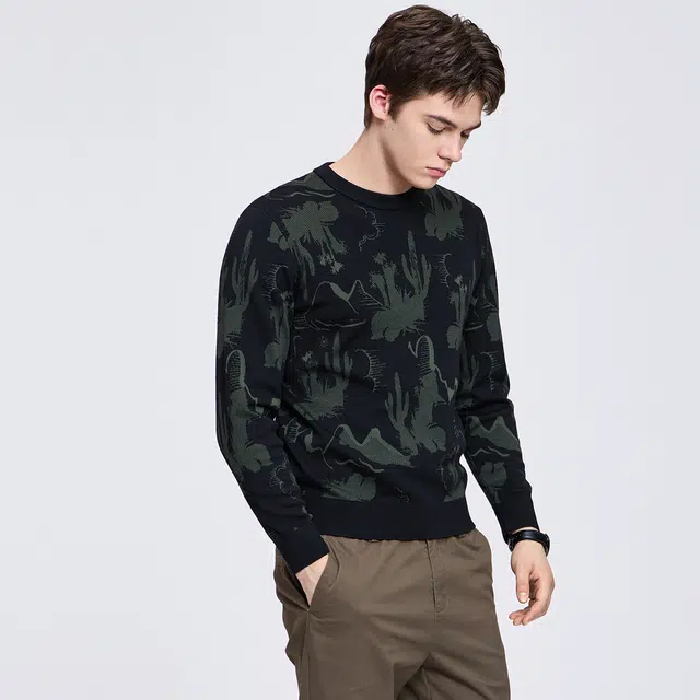 与狼共舞 潮流街头风时尚满身提花羊毛柔软亲肤保暖针织毛衫百搭休闲青年款撞色圆领羊毛衣 男款