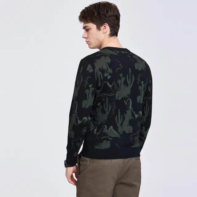 与狼共舞 潮流街头风时尚满身提花羊毛柔软亲肤保暖针织毛衫百搭休闲青年款撞色圆领羊毛衣 男款