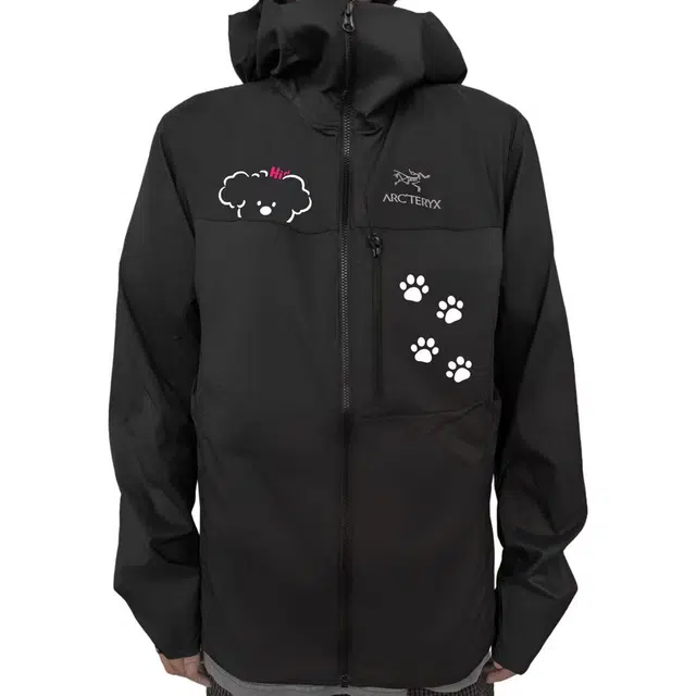 Arcteryx Squamish HoodyLogo
