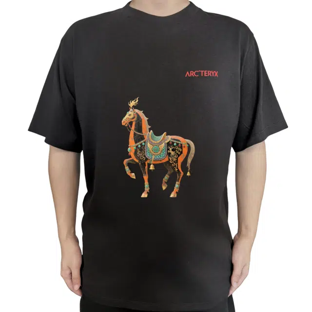 Arcteryx KRAGG SL LogoT