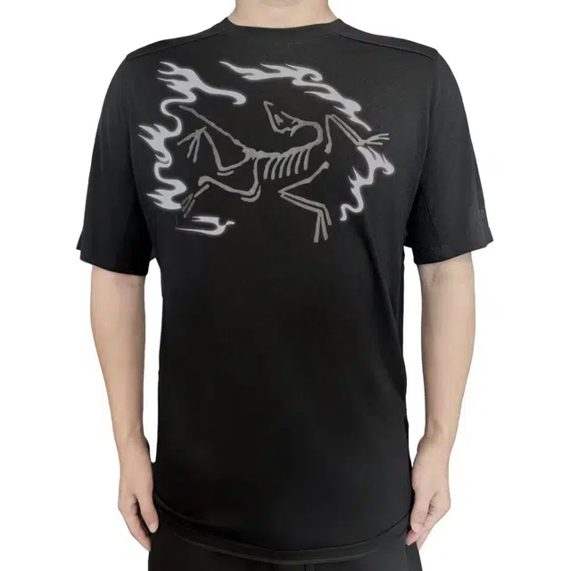 Arcteryx Ionia Merino Wool logoT