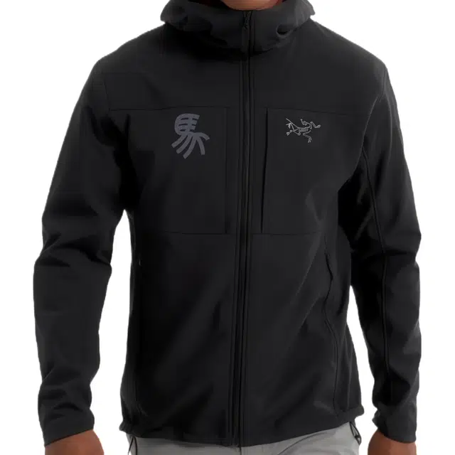 Arcteryx GAMMA MX logoHoody