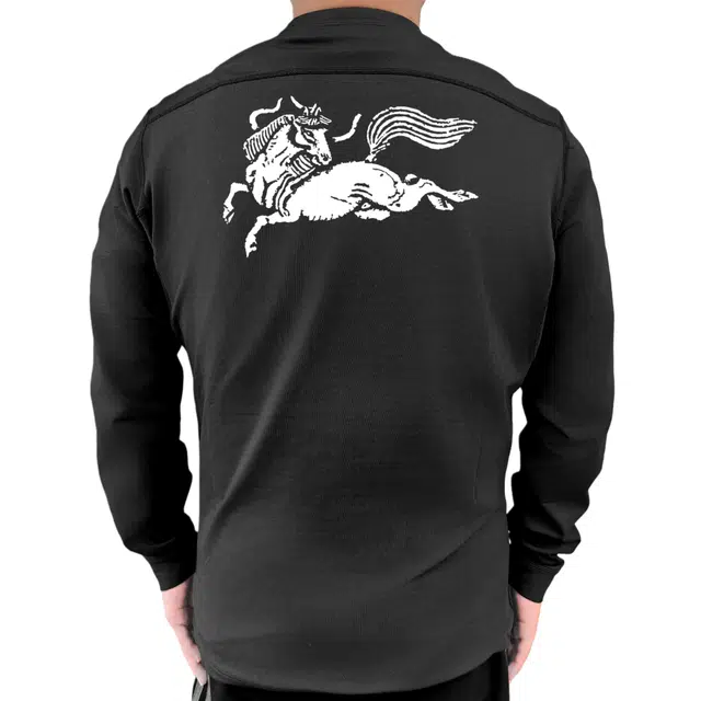 Arcteryx RHO LT logo