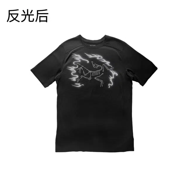 Arcteryx Ionia Merino Wool logoT