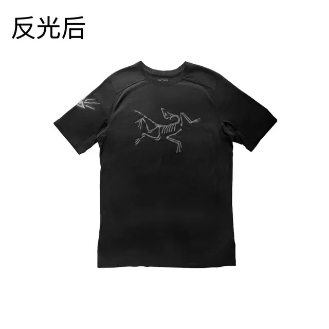 Arcteryx Ionia Merino Wool logoT