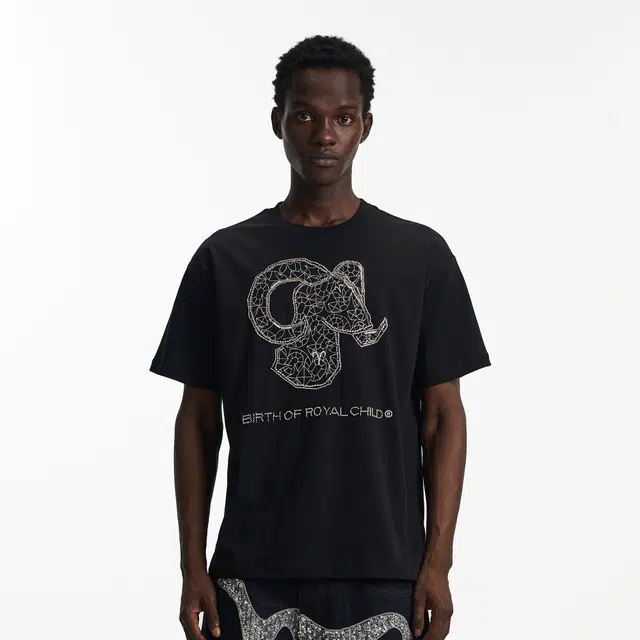 BIRTH OF ROYAL CHILD SS25 T