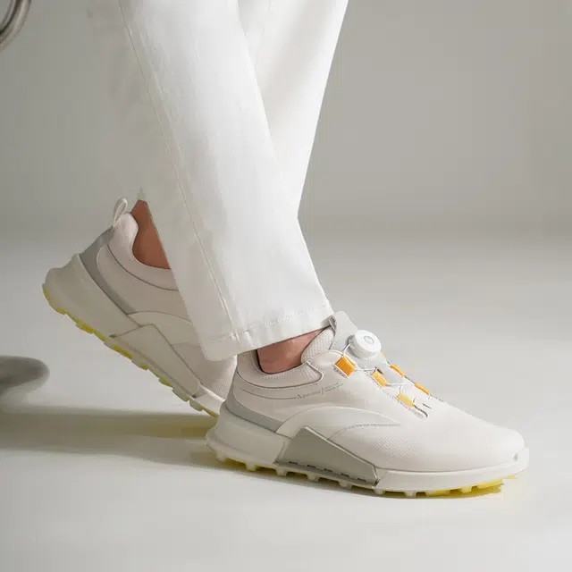 AQUASCUTUM