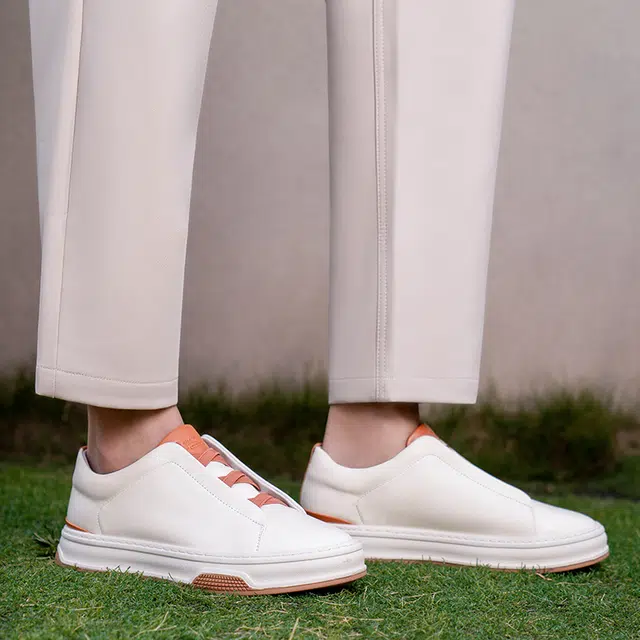 AQUASCUTUM