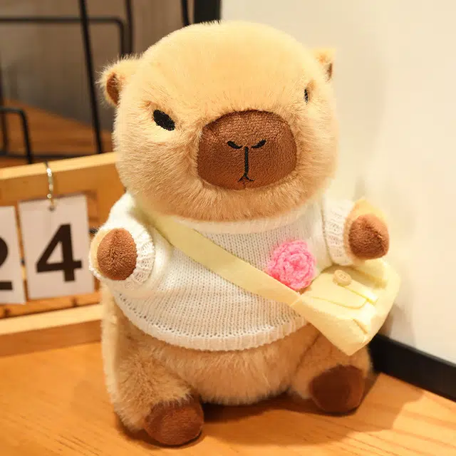 23cm