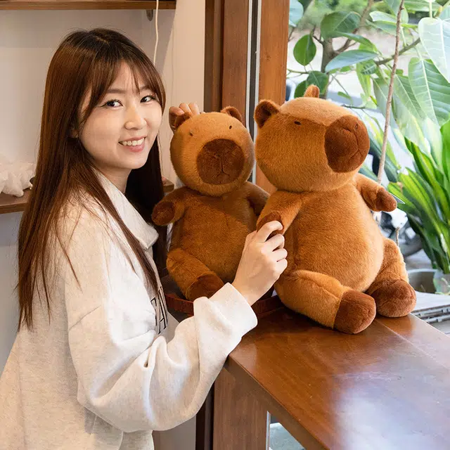 27cm34cm40cm