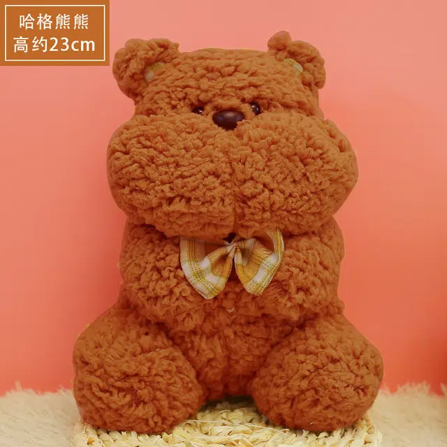 23cm