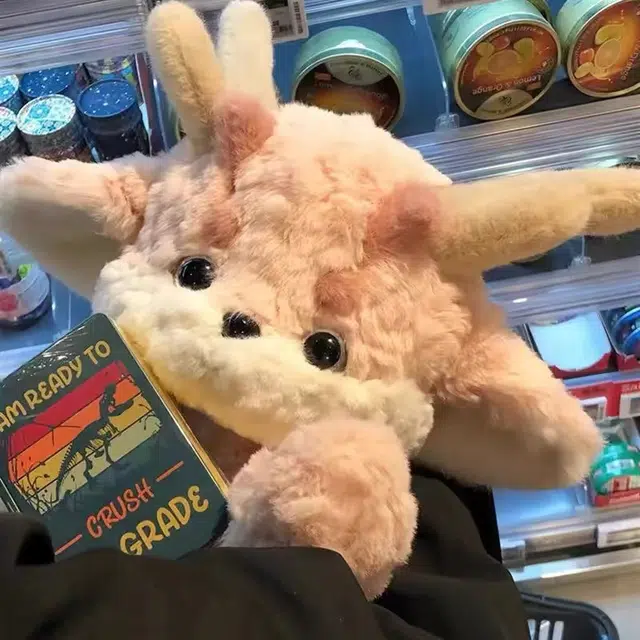 30cm