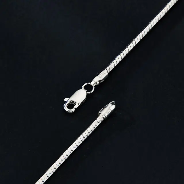 SHUNQINYINLOU S925