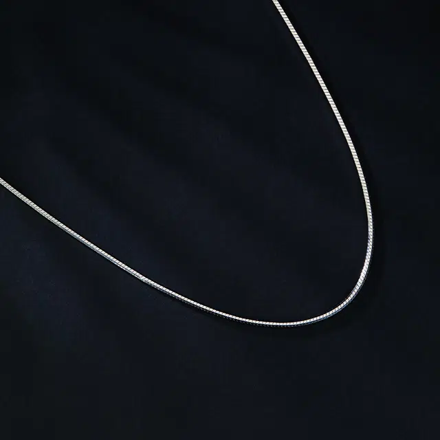 SHUNQINYINLOU S925