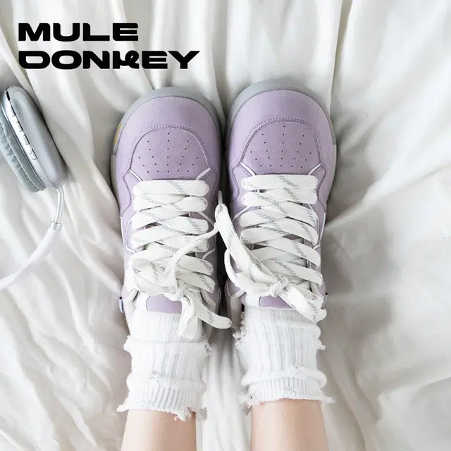 Mule Donkey