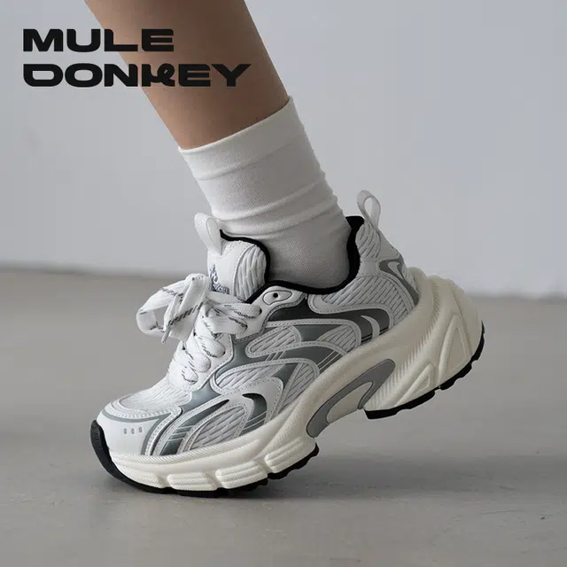 Mule Donkey