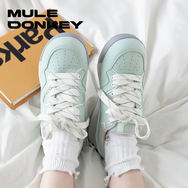 Mule Donkey