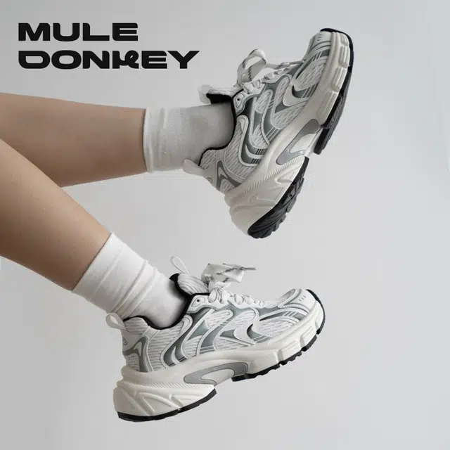Mule Donkey