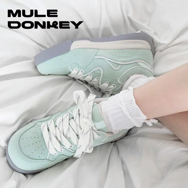 Mule Donkey