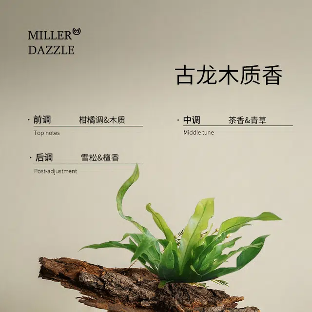 Millerdazzle 500ml+ 300ml