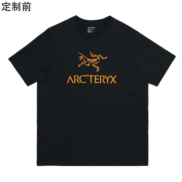 Arcteryx Polo