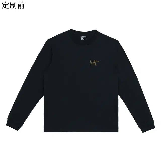 Arcteryx KRAGG logoPolo