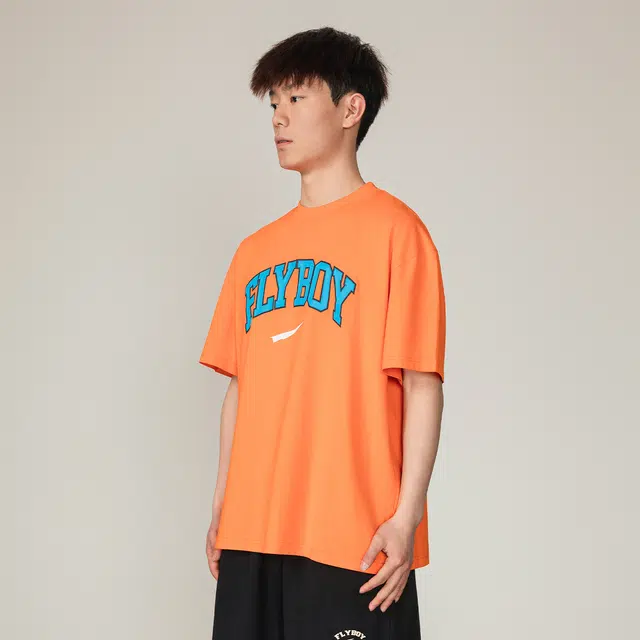 FlyboyCsc logoT