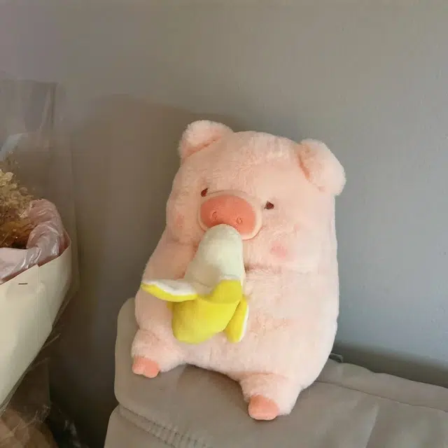 Jinnew 30cm