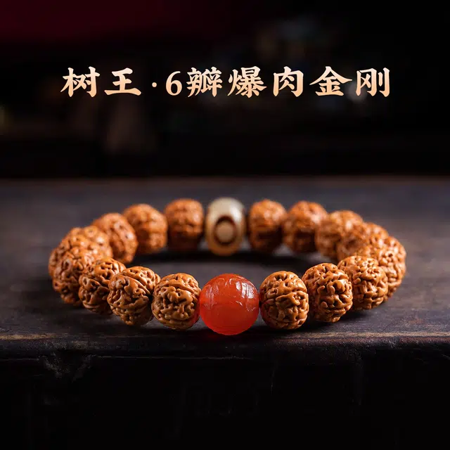 达隆 树王爆肉 原籽 金刚菩提 手串 男女同款情侣款