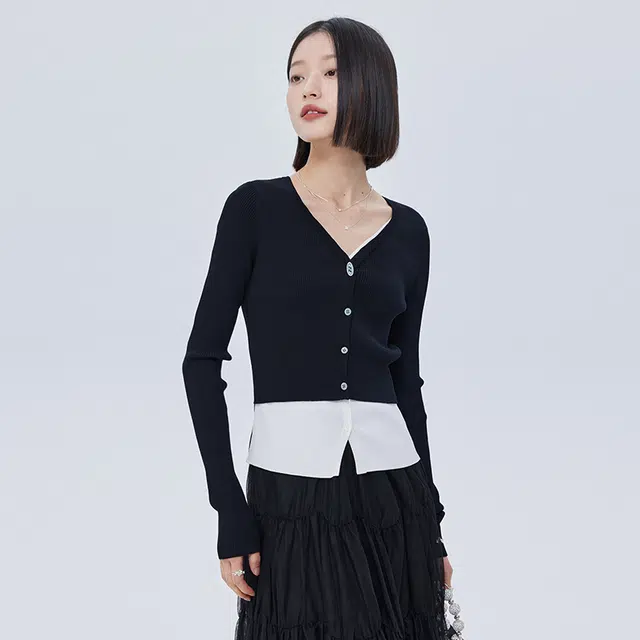 SHUEN V