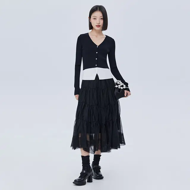 SHUEN V